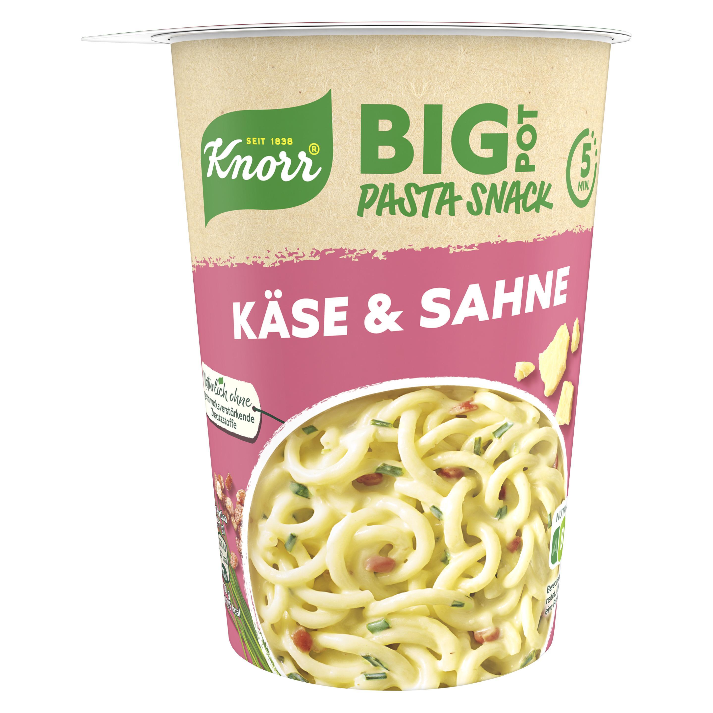 Knorr Pasta Snack Big Pot Kaese Sahne Sauce 92g